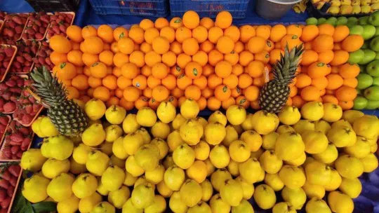 İstanbul'daki meyve ve sebze tezgahlarında bolluk yaşanıyor