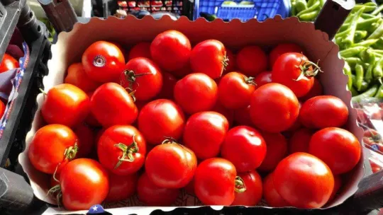 İstanbul'daki meyve ve sebze tezgahlarında bolluk yaşanıyor