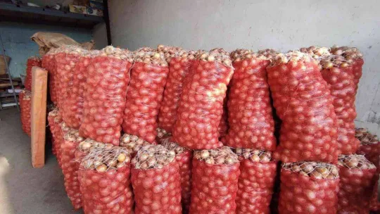 İstanbul'daki meyve ve sebze tezgahlarında bolluk yaşanıyor