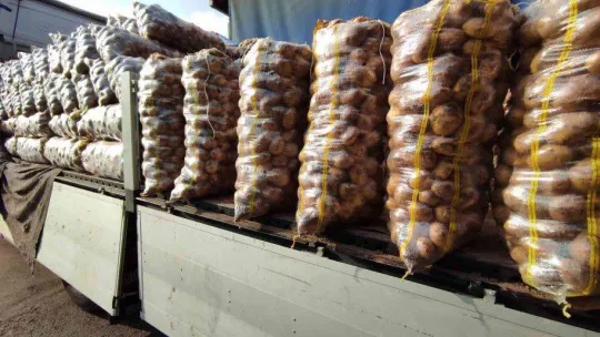 İstanbul'daki meyve ve sebze tezgahlarında bolluk yaşanıyor