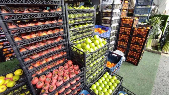 İstanbul'daki meyve ve sebze tezgahlarında bolluk yaşanıyor