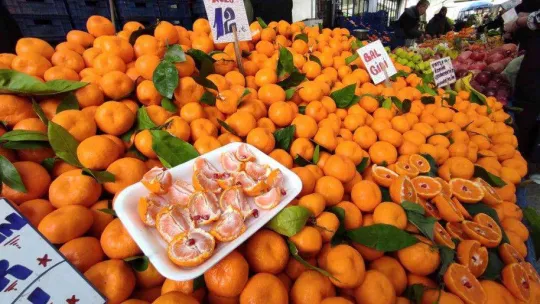İstanbul'daki meyve ve sebze tezgahlarında bolluk yaşanıyor