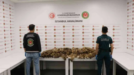 İstanbul Havalimanı'nda samur postu ele geçirildi