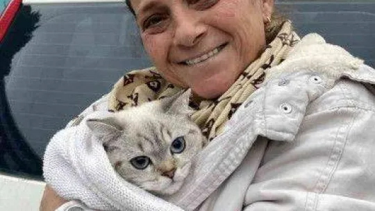 İstanbul İl Tarım ve Orman Müdürü Karaca: 'İstanbul'da 220 bin kedi ve 103 bin köpeğin mikroçipleme işlemlerini bitirdik'