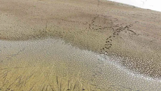 İstanbul'u destekleyen 10 barajın ortalama doluluk oranı yüzde 34'lere düştü