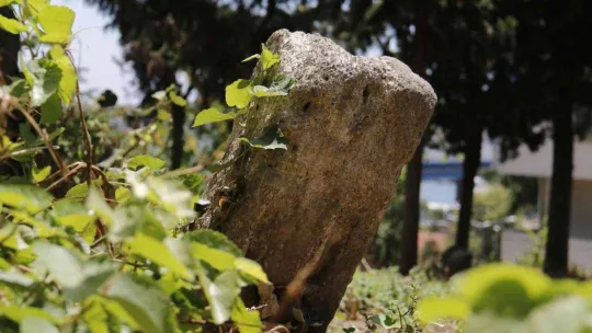 İstanbul'un bilinmeyen toplu cellat mezarlığı