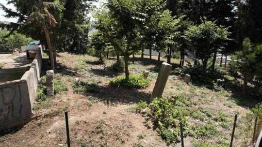İstanbul'un bilinmeyen toplu cellat mezarlığı