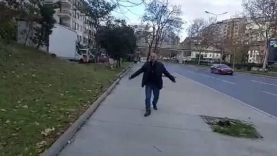 İstanbul'un göbeğinde 'midilli' sürprizi: Ağaca bağlanmış at görenleri şaşkına çevirdi