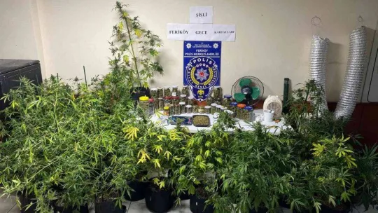 İstanbul'un göbeğindeki uyuşturucu serasına baskın: Kavanozlardan 15 kilogram marihuana çıktı