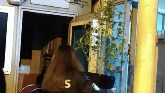 İstanbul'un göbeğindeki uyuşturucu serasına baskın: Kavanozlardan 15 kilogram marihuana çıktı