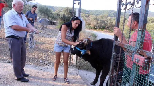 İzmir Hayvan Arama Kurtarma ekibi, hayvanlar için deprem bölgesinde