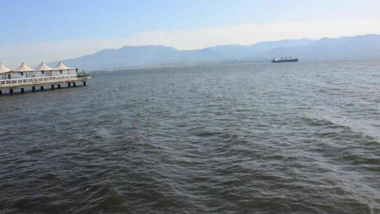 İzmit Körfezi'nde renk değişikliği