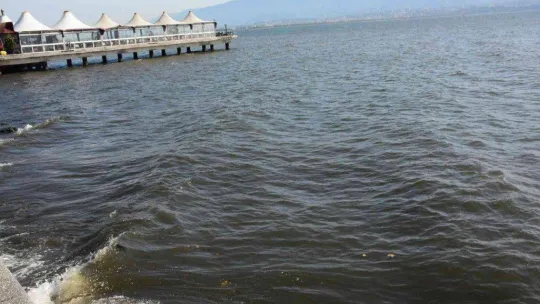 İzmit Körfezi'nde renk değişikliği