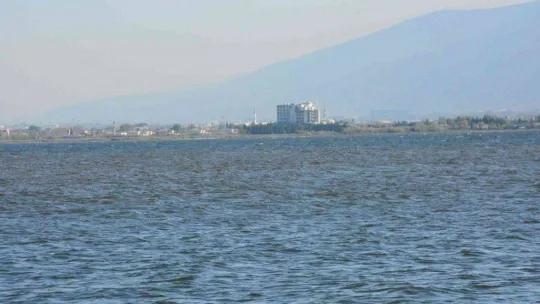 İzmit Körfezi'nde renk değişikliği
