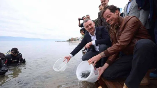 İzmit Körfezi'ne 6 bin balık daha bırakıldı: Adım adım izlenebilecekler