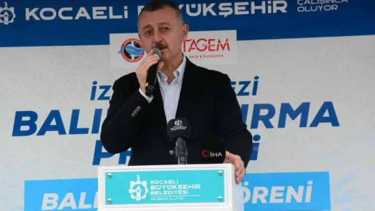 İzmit Körfezi'ne 6 bin balık daha bırakıldı: Adım adım izlenebilecekler