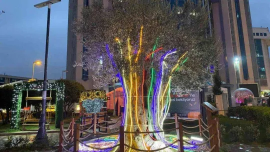 İzmit, yılbaşı öncesi renk cümbüşüne döndü