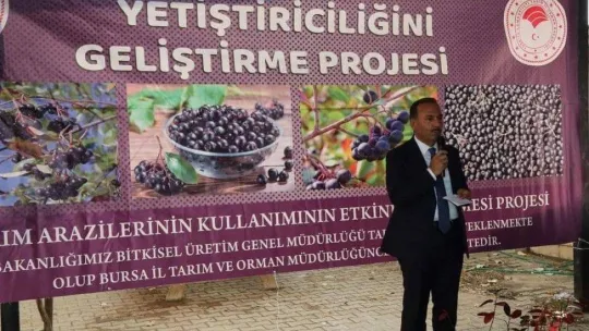 İznik'in bereketi, sağlık meyvesi aronya ile buluşuyor