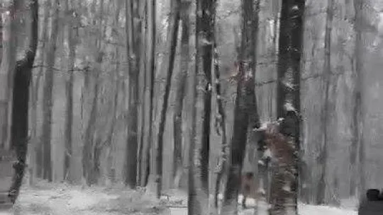 İznik'te kar etkisini sürdürüyor