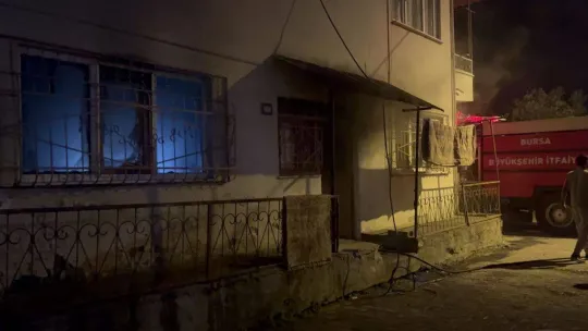 İznik'te korkutan yangın