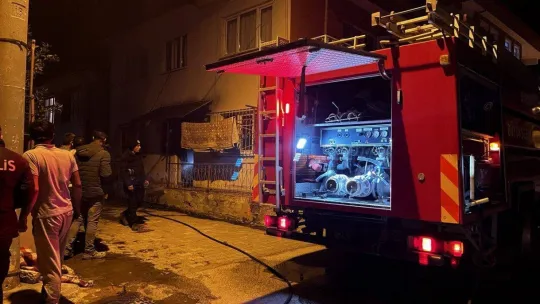 İznik'te korkutan yangın