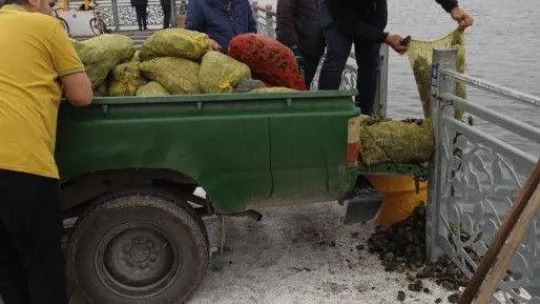 Kaçak midye avcılarına operasyon: Ele geçirilen midyeler denize bırakıldı
