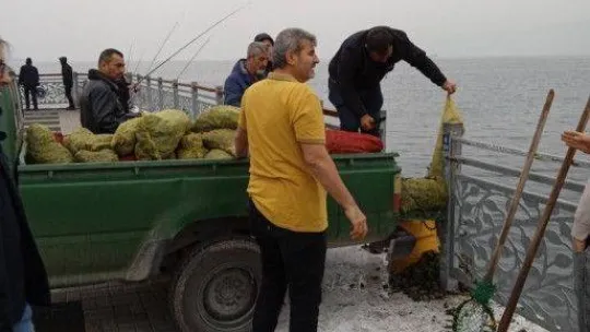 Kaçak midye avcılarına operasyon: Ele geçirilen midyeler denize bırakıldı