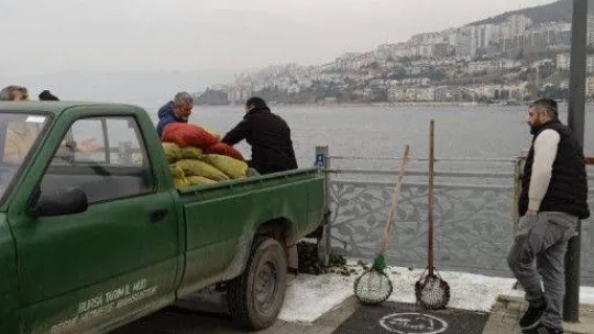 Kaçak midye avcılarına operasyon: Ele geçirilen midyeler denize bırakıldı