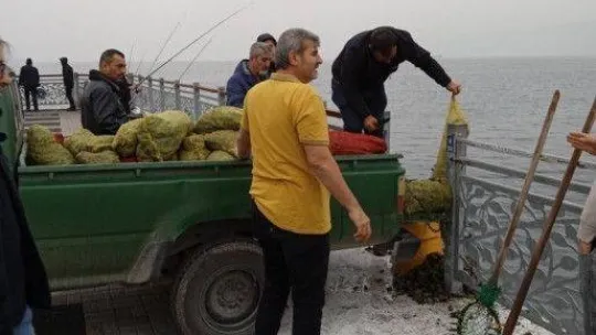 Kaçak midye avcılarına operasyon