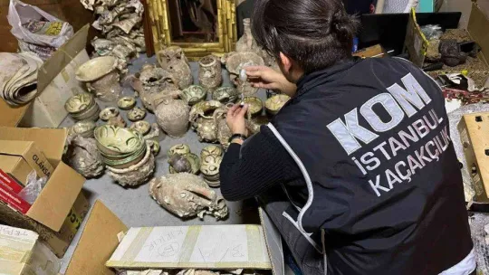 Kadıköy'de yabani hayvan boynuzu operasyonu