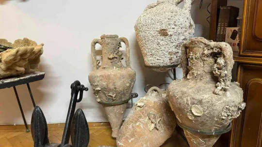 Kadıköy'de yabani hayvan boynuzu operasyonu