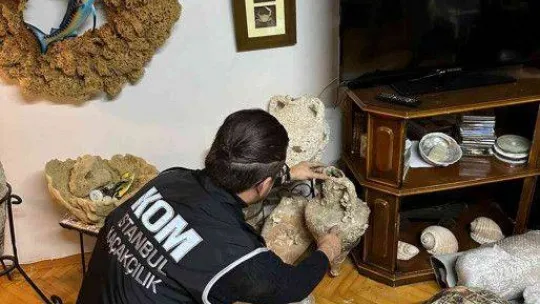 Kadıköy'de yabani hayvan boynuzu operasyonu