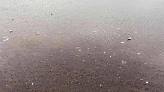 Kadıköy'ü lodos vurdu, Caddebostan sahilini plastik atıklar kapladı