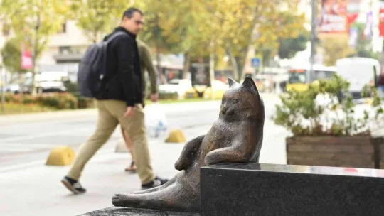 Kadıköy'ün kedisi Tombili yuvasına döndü