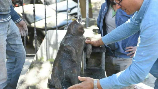 Kadıköy'ün kedisi Tombili yuvasına döndü