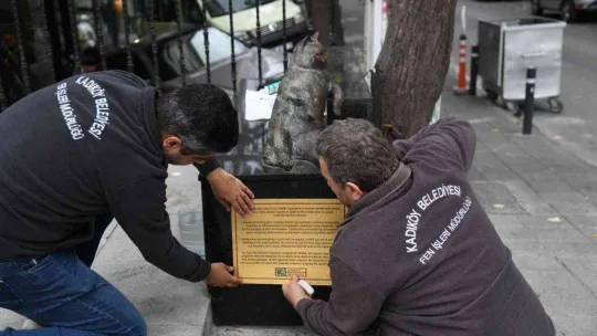 Kadıköy'ün kedisi Tombili yuvasına döndü