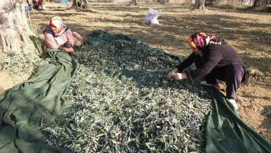 Kadın işçiler eşit ücret istiyor