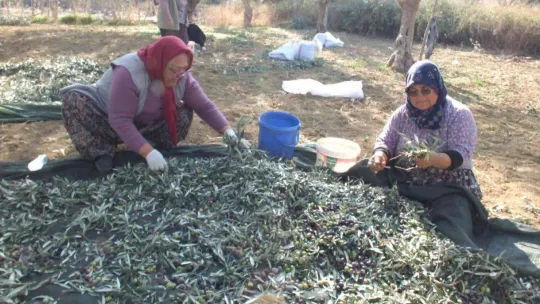 Kadın işçiler eşit ücret istiyor