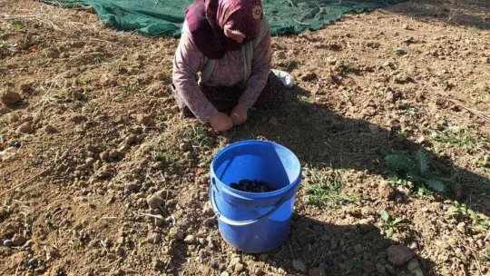 Kadın işçiler eşit ücret istiyor