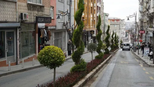 Kağıthane'deki Gümüşhane Caddesi, tematikleşiyor