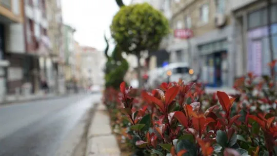 Kağıthane'deki Gümüşhane Caddesi, tematikleşiyor