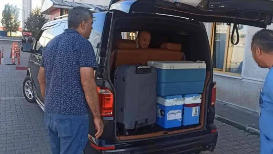 Kalp krizi geçiren genç kızın organları çocuklara umut oldu