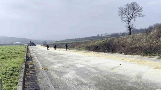 Kamyonun kapağı açıldı, yol mısırla kaplandı