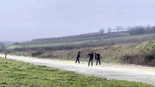 Kamyonun kapağı açıldı, yol mısırla kaplandı