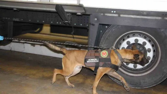 Kapıkule'de 30 kilogram uyuşturucu elle geçirildi