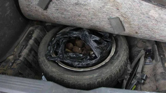 Kapıkule'de kaçakçılık operasyonu: 1 milyon liralık kaçak trüf mantarı ve kehribar ele geçirildi