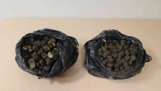 Kapıkule'de kaçakçılık operasyonu: 1 milyon liralık kaçak trüf mantarı ve kehribar ele geçirildi