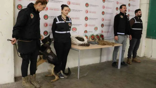 Kapıkule'de kaçakçılık operasyonu: 1 milyon liralık kaçak trüf mantarı ve kehribar ele geçirildi