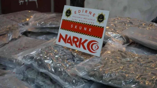 Kapıkule'de valizler dolusu uyuşturucuyu çöpe atarken yakalandılar