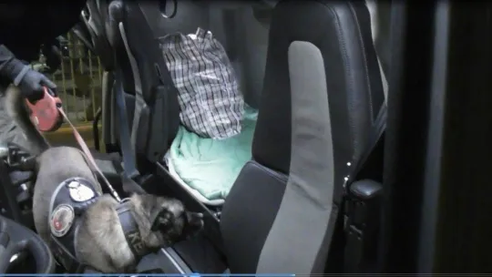 Kapıkule'den yurda giriş yapan tırda 39 kilo 298 gram skunk ele geçirildi